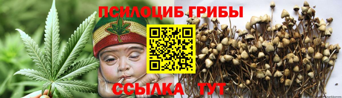 Псилоцибиновые грибы мицелий  Вход с VPN  Кириши  Псилоцибиновые грибы MAGIC MUSHROOMS 