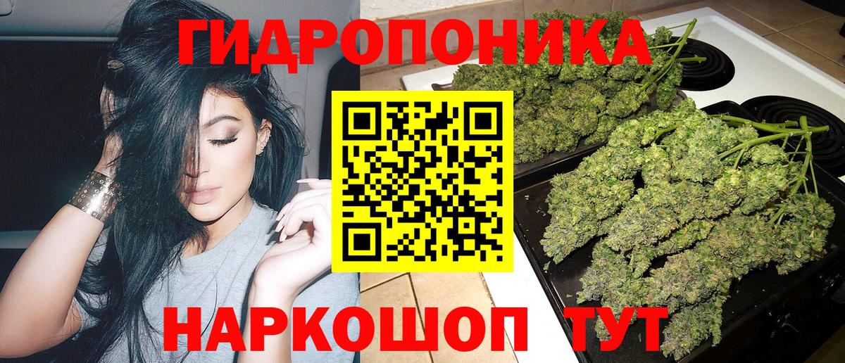 МАРИХУАНА ГИДРОПОН Кириши